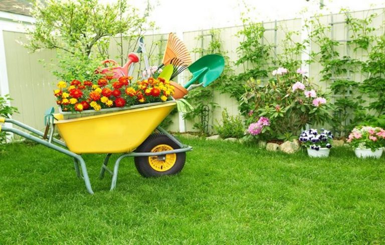 Spruce up your garden to help sell your home